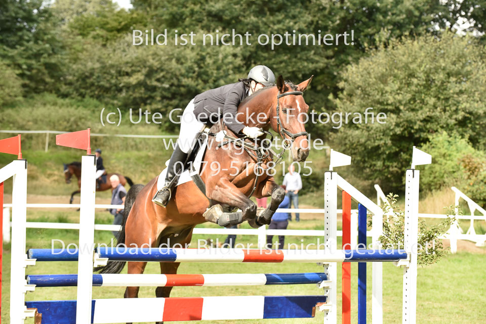 27.8.2017---Stilspringen-KL-L-LK-4-5-69.jpg
