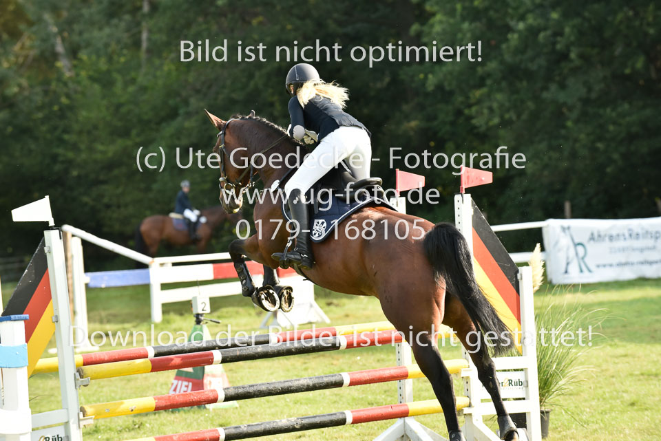 26.8.2017---Stilspringen-Kl-A---LK-6--12.jpg