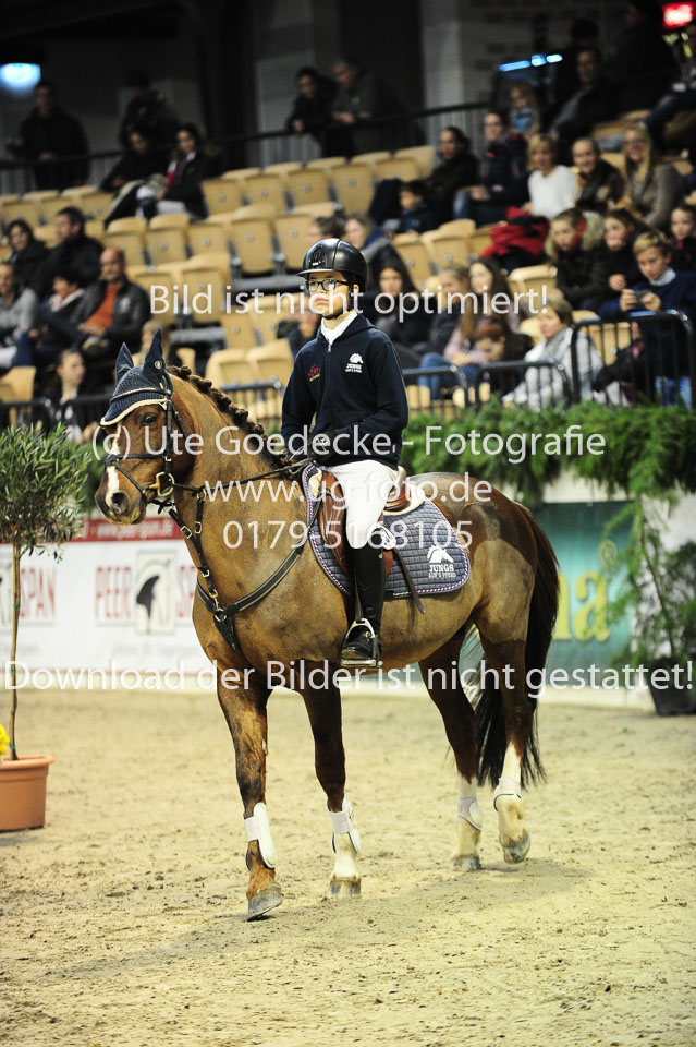 28.10.17---Jungs-aufs-Pferd-35.jpg