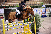 Pony Big Tour - Samstag