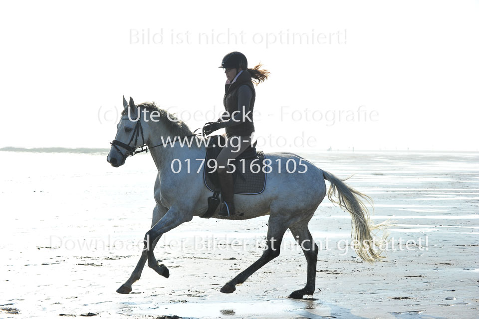 St-Peter-Ording-1-2-_11.jpg