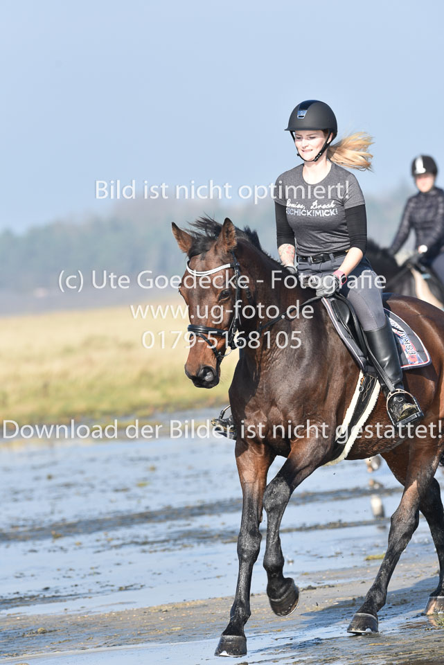 St-Peter-Ording-1-2-_29.jpg