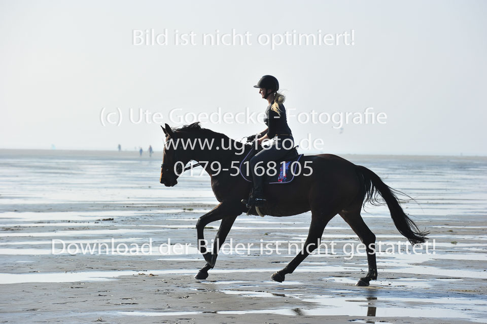 St-Peter-Ording-1-2-_48.jpg