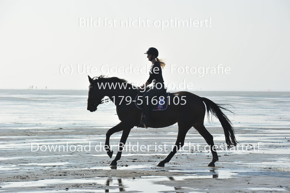 St-Peter-Ording-1-2-_49.jpg