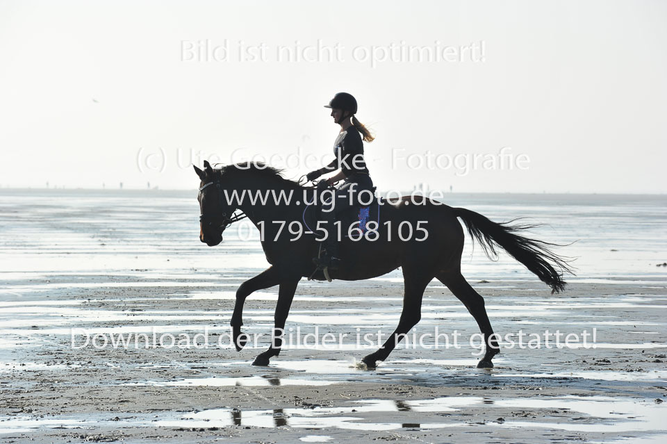 St-Peter-Ording-1-2-_50.jpg