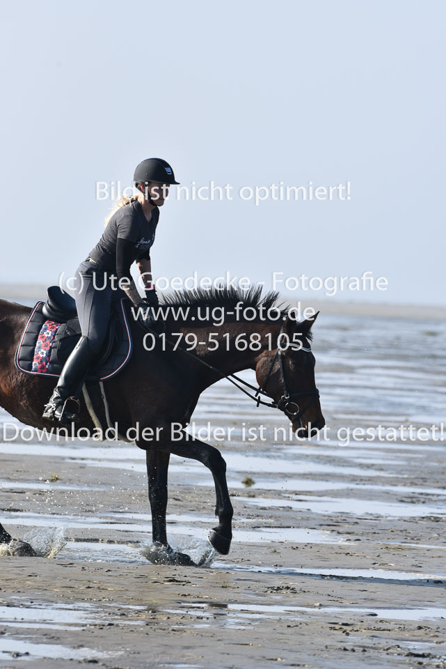 St-Peter-Ording-1-2-_59.jpg