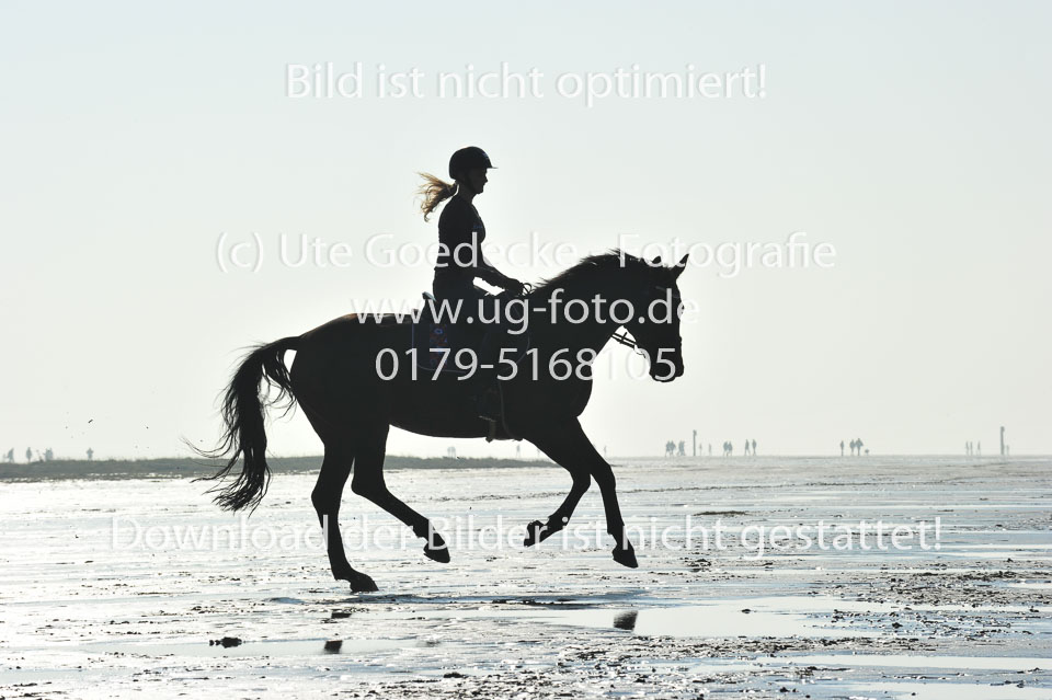 St-Peter-Ording-1-2-_69.jpg