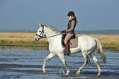 St-Peter-Ording-1-2-_02.jpg