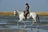 St-Peter-Ording-1-2-_05.jpg