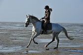 St-Peter-Ording-1-2-_10.jpg