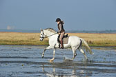 St-Peter-Ording-1-2-_12.jpg