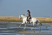 St-Peter-Ording-1-2-_13.jpg