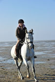 St Peter ording 1-2