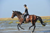 St Peter ording 1-2