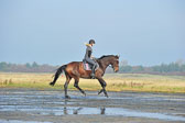 St Peter ording 1-2