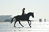 St-Peter-Ording-1-2-_65.jpg