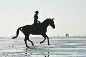 St Peter ording 1-2