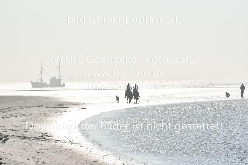 St-Peter-Ording-11-12-_003.jpg