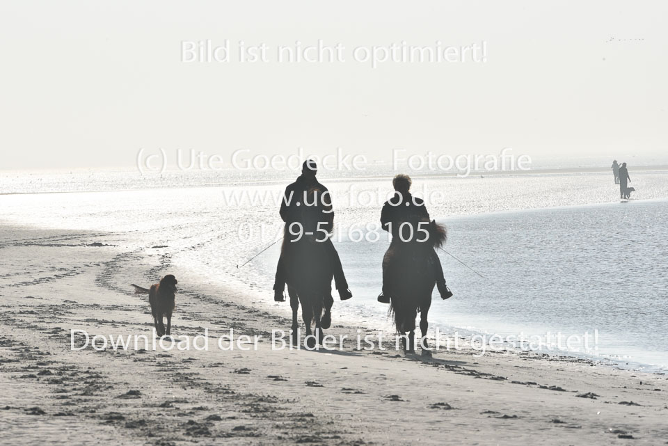 St-Peter-Ording-11-12-_015.jpg