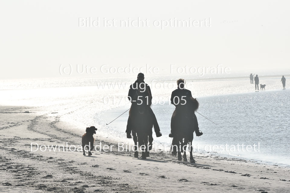 St-Peter-Ording-11-12-_016.jpg