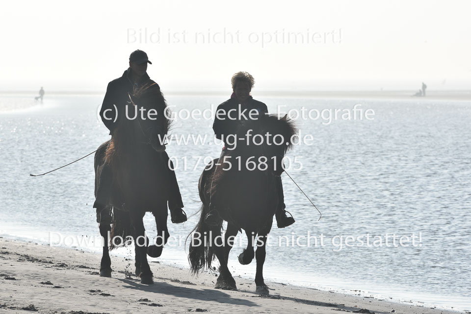 St-Peter-Ording-11-12-_023.jpg