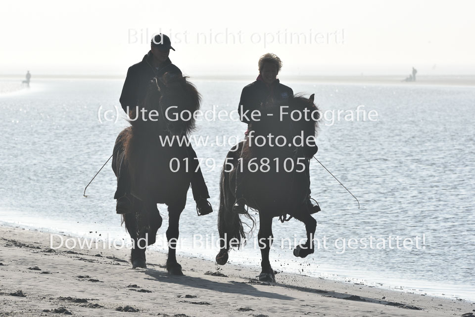 St-Peter-Ording-11-12-_024.jpg