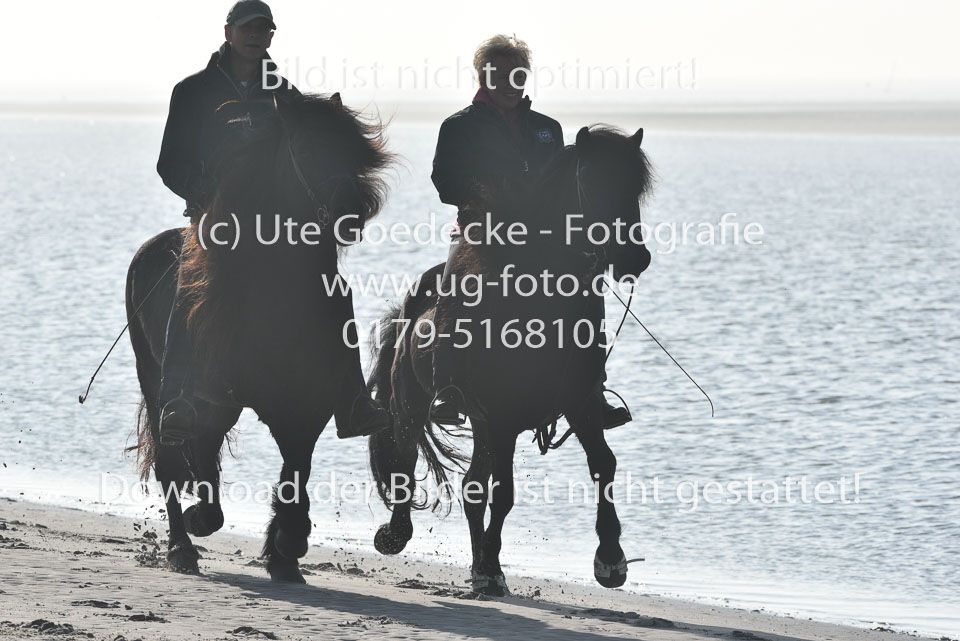 St-Peter-Ording-11-12-_028.jpg