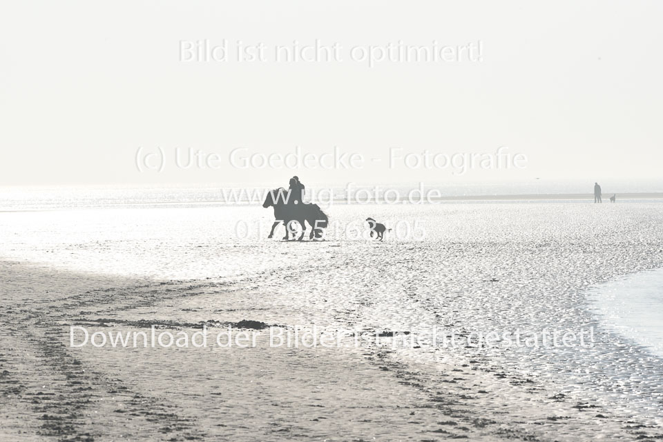 St-Peter-Ording-11-12-_044.jpg