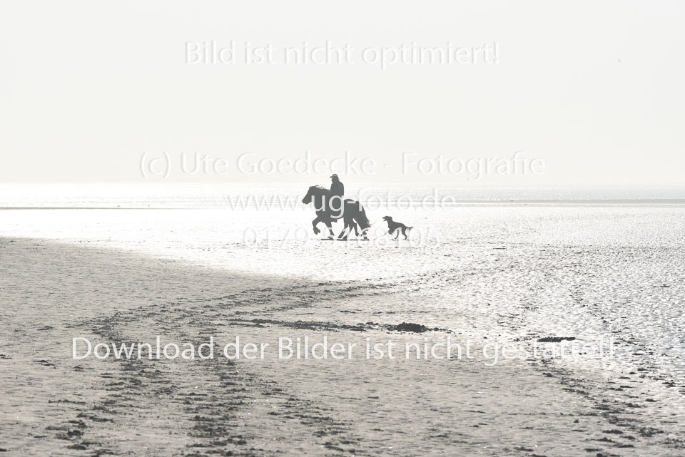 St-Peter-Ording-11-12-_047.jpg