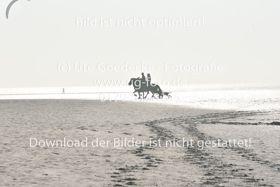 St-Peter-Ording-11-12-_049.jpg