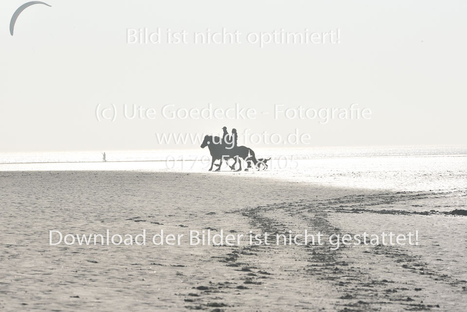 St-Peter-Ording-11-12-_050.jpg