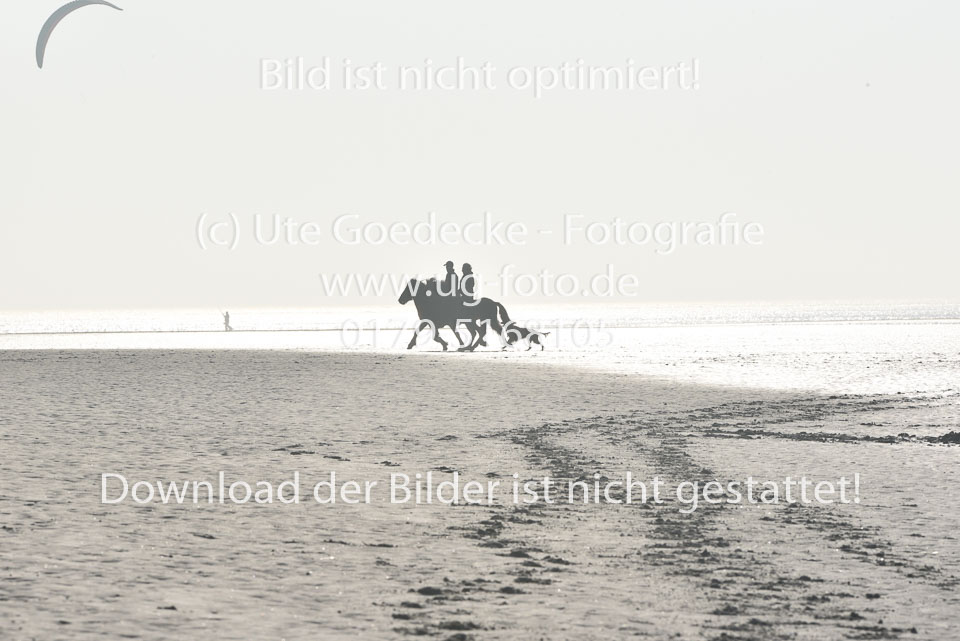 St-Peter-Ording-11-12-_051.jpg