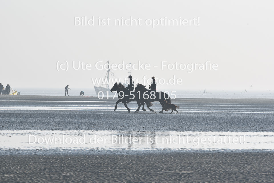 St-Peter-Ording-11-12-_062.jpg