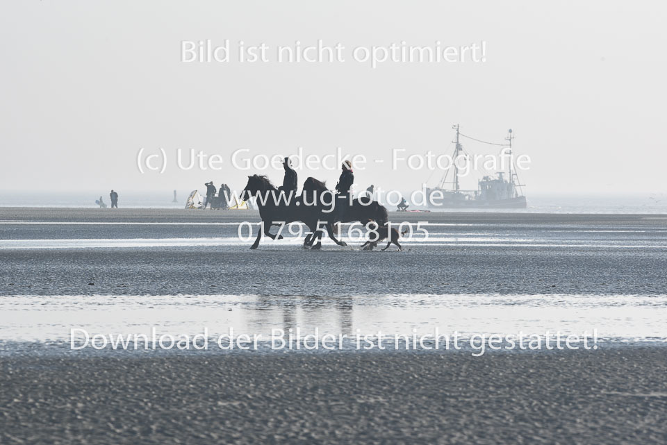 St-Peter-Ording-11-12-_066.jpg