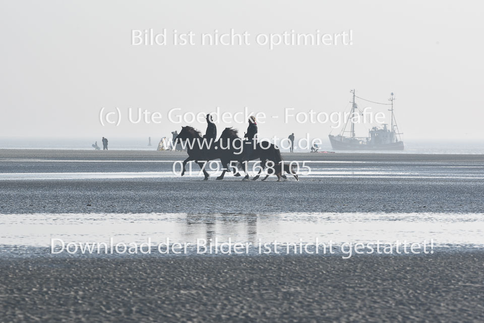 St-Peter-Ording-11-12-_067.jpg