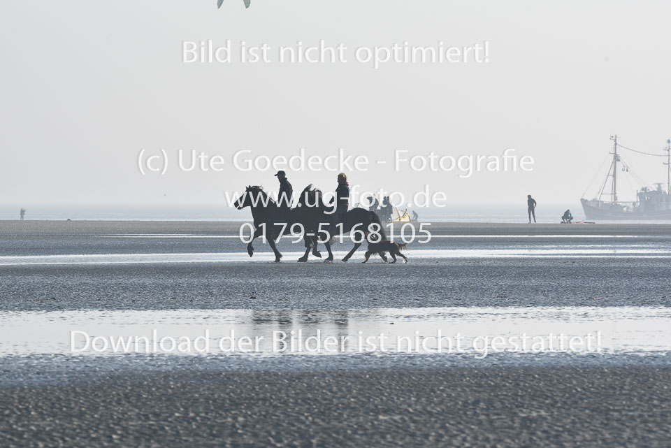 St-Peter-Ording-11-12-_069.jpg