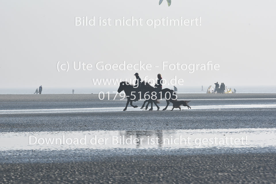 St-Peter-Ording-11-12-_070.jpg