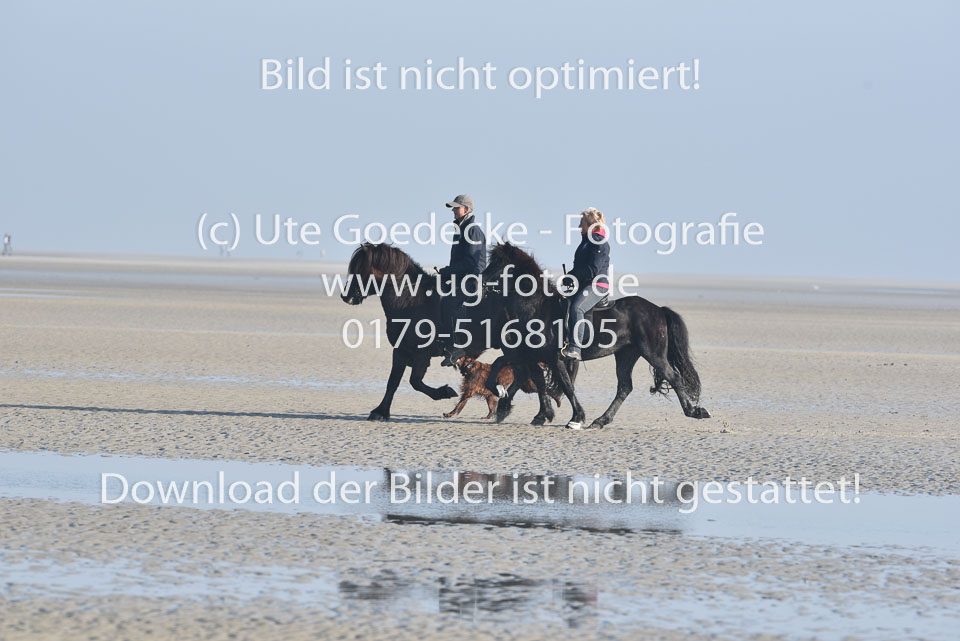 St-Peter-Ording-11-12-_085.jpg