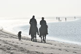 St-Peter-Ording-11-12-_018.jpg