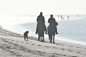 St-Peter-Ording-11-12-_019.jpg