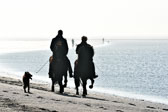 St-Peter-Ording-11-12-_020.jpg