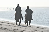 St Peter Ording 11+12