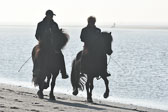 St-Peter-Ording-11-12-_026.jpg