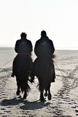 St-Peter-Ording-11-12-_032.jpg