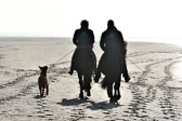 St-Peter-Ording-11-12-_034.jpg