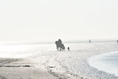 St-Peter-Ording-11-12-_040.jpg