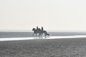 St-Peter-Ording-11-12-_058.jpg