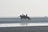 St-Peter-Ording-11-12-_059.jpg