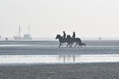 St-Peter-Ording-11-12-_060.jpg