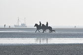St-Peter-Ording-11-12-_061.jpg